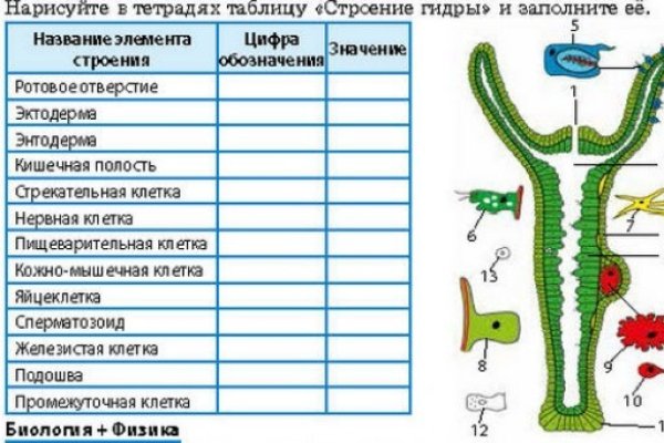 Кракен войти сегодня