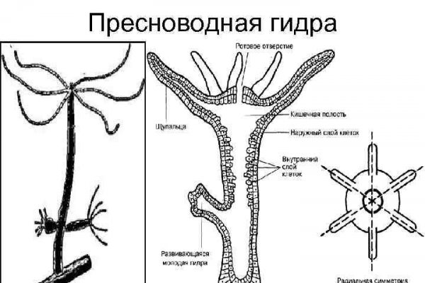 Кракен адрес сайта